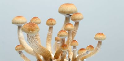 Does psilocybin really provide long-term relief from depression, as new study suggests?