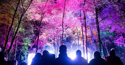 Everything you need to know as The Enchanted Forest near Pitlochry returns