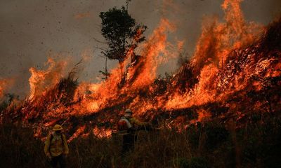 ‘The Earth is crying out for help’: as fires decimate South America, smoke shrouds its skies