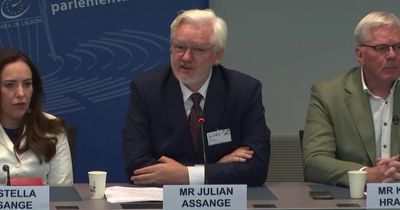 Council of Europe recognises Julian Assange held as political prisoner