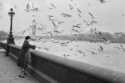 Woman Named 'Wildman' Accused of Kidnapping Seagull, Throwing Milk as Passersby Tries to Free It