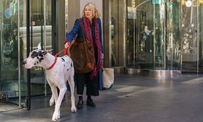 The Friend review – Naomi Watts befriends great dane in sweet, slight drama