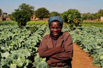 Africa’s small-scale revolution against big agriculture: five farmers talk greener, better food