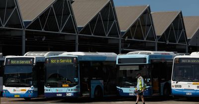 Newcastle bus drivers told to finish trips in unregistered buses, union alleges