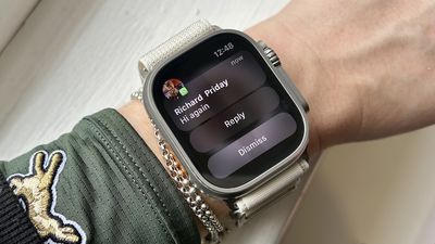 You can use WhatsApp on Apple Watch — here's how to set it up