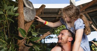 Koala joey a joyful sight at wildlife park these school holidays