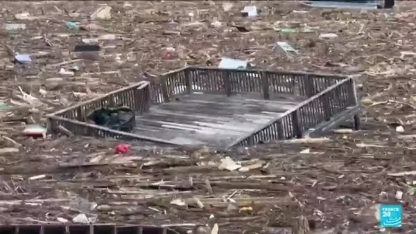 Hurricane Helene: Grandparents found hugging in final embrace as fallen tree kills them in South Carolina