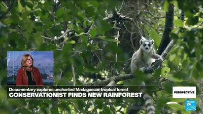 Conservationist Patricia Wright on finding a new rainforest in Madagascar