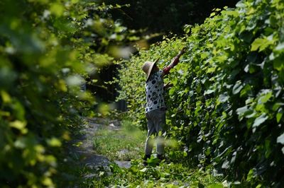 China Wine Industry Looks To Breed Climate Resilience