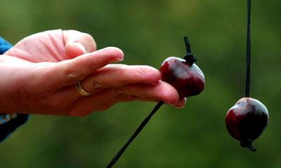 Conker players forced to freeze seeds after UK storms bring early fall