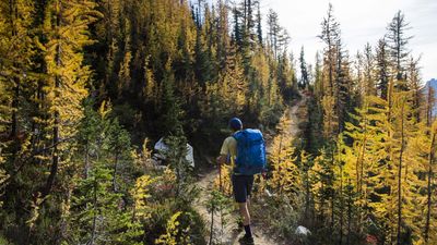 "We ask for patience" – Appalachian Trail thru-hikers derailed by Hurricane Helene