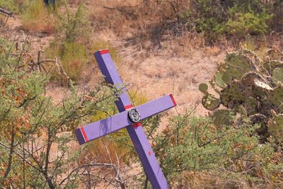 Here lies a dream in the Sonoran Desert