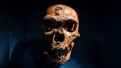 Who was the last Neanderthal?