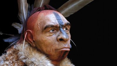 Did we kill the Neanderthals? New research may finally answer an age-old question.