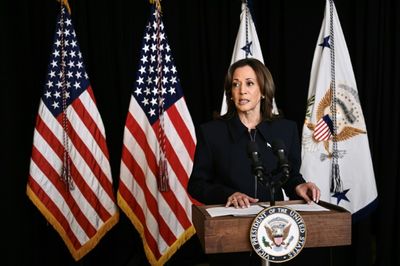 Arab American Leaders Call On Harris To Separate From Biden's Israel Policy