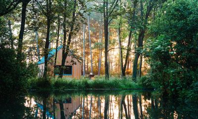 From cool cabins to country houses: six of Britain’s best forest escapes