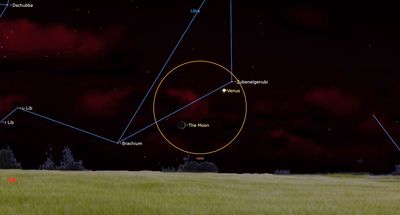 See Venus rendezvous with the crescent moon in the night sky tonight (Oct. 5)