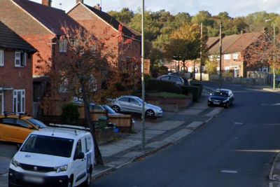 Two children, 4 and 6, rushed to hospital after being attacked by four dogs in south London