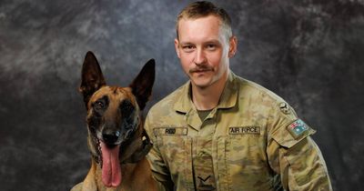 From military guard to the backyard: Williamtown military dog Drak retires