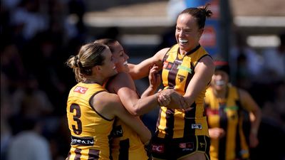 Injury-hit Hawks claim brave AFLW victory over Dockers