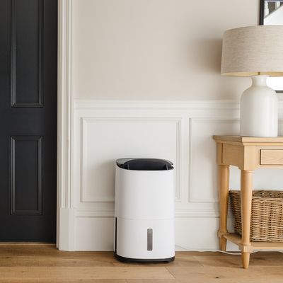 Do dehumidifiers help with hay fever? Experts reveal why this versatile appliance is a must for reducing allergens in your home