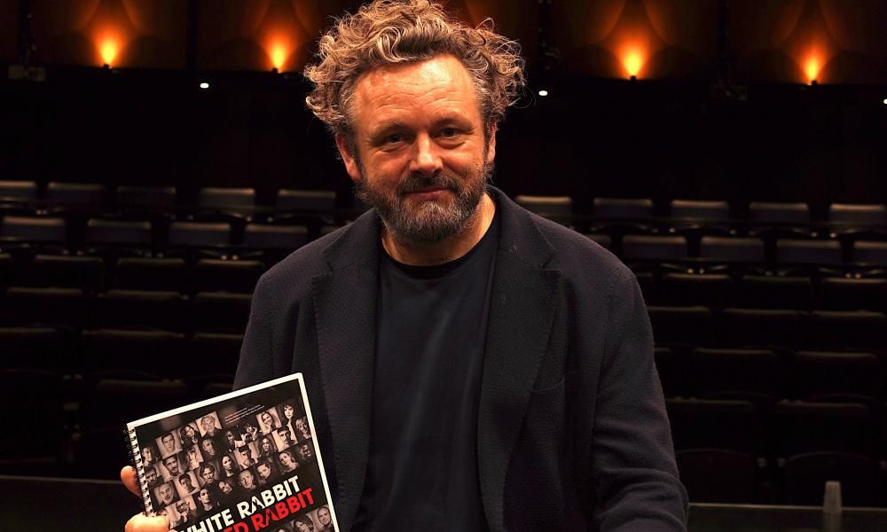 White Rabbit Red Rabbit review – a game Michael Sheen…