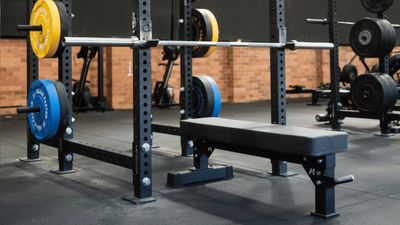 Again Faster Competition Flat Bench 2.0 review: a beasty bench for big lifts