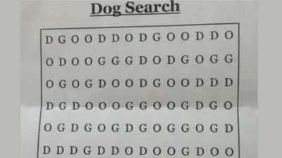 Optical illusion: Can you spot 'DOG' in this image?