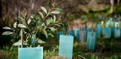 Australia is hosting the world’s first ‘nature positive’ summit. What is it, and why does it matter?