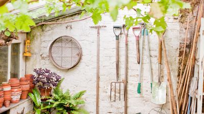 Wayfair is a great place to shop for garden tools – I'm adding these top picks to my fall gardening kit