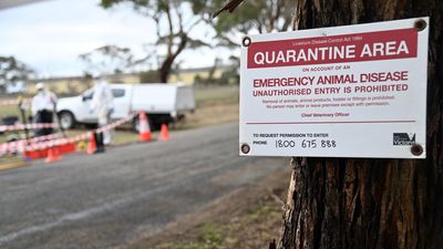 Devastating bird flu strain 'on Australia's doorstep'