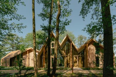 The Lake House is a tree-inspired retreat making the most of Berlin’s nature