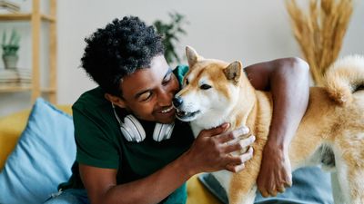 Try this trainer's simple tips for better apartment living with your pup – we never considered number three!