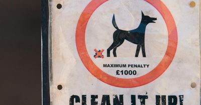 Council issues plea to dog owners as poo plagues popular Highland walk