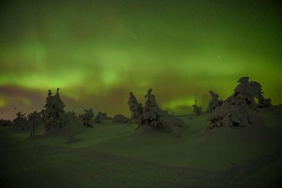 Why 2024 could be one of the best ski seasons in years – thanks to the Northern Lights