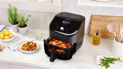 8 Signs it's time to replace your air fryer, according to appliance experts