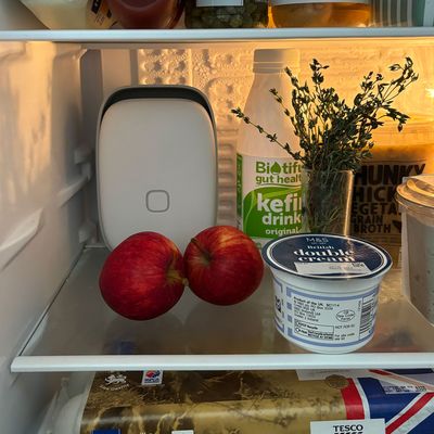 This fridge purifier made me realise I'd been keeping my fridge at the wrong temperature for years - it's been a gamechanger