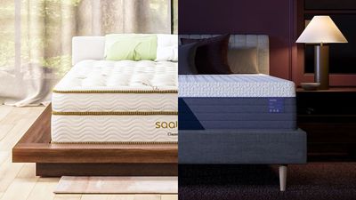 Saatva Classic vs Nectar Luxe Hybrid: Which luxury mattress should you buy?