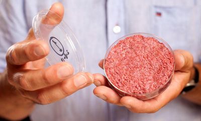 Lab-grown meat could be sold in UK in next few years, says food regulator