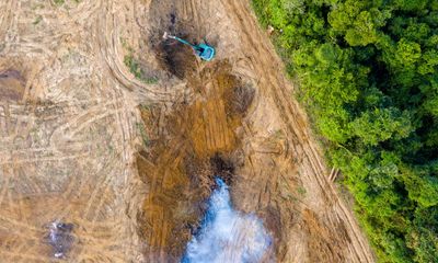 Deforestation ‘roaring back’ despite 140-country vow to end destruction