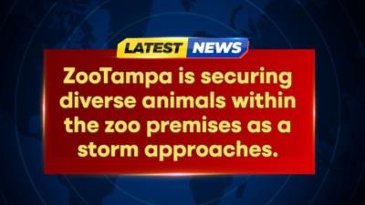 Zootampa Prepares Animals For Storm, Closes During Hurricane