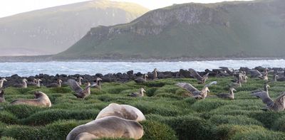 Australia will protect a vast swathe of the Southern Ocean, but squanders the chance to show global leadership