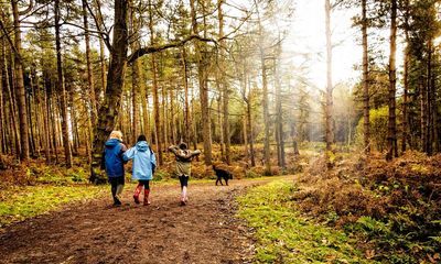 Hiking Cheshire’s Baker Way: the joy of a less-known walking trail