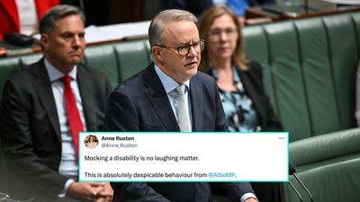 Anthony Albanese Cops Heat For ‘Despicable’ Comment In Parliament About Tourette’s Syndrome