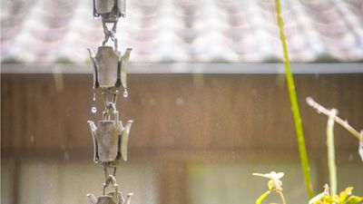 I'm a gardens writer and just found the best deals on Amazon rain chain anchors – the prettiest way possible to harvest rainwater