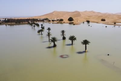 Rare Sahara Desert Rainfall Brings Relief And Challenges