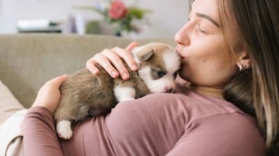 Feeling low after getting a new puppy? Study finds the “puppy blues” are common in new dog parents