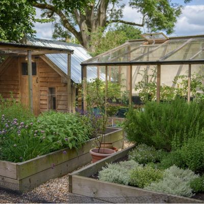 The best mulch for vegetable gardens if you want a happy and thriving crop