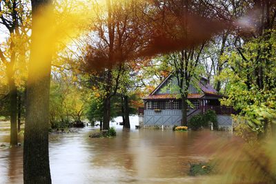 Will Your House Flood? We Ask the Experts