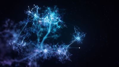 Nobel Prize in Physics: 1901-Present